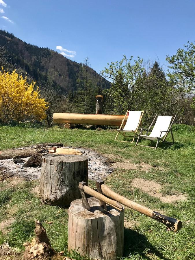 Charmante Gaestewohnung In Altem Bauernhaus In Alpiner Alleinlage Stanz Im Murztal Εξωτερικό φωτογραφία