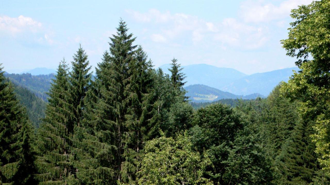 Charmante Gaestewohnung In Altem Bauernhaus In Alpiner Alleinlage Stanz Im Murztal Εξωτερικό φωτογραφία