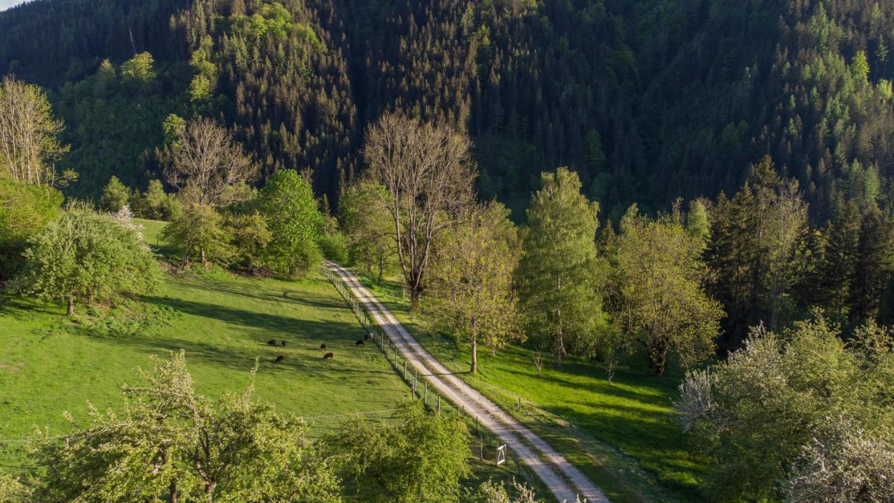 Charmante Gaestewohnung In Altem Bauernhaus In Alpiner Alleinlage Stanz Im Murztal Εξωτερικό φωτογραφία
