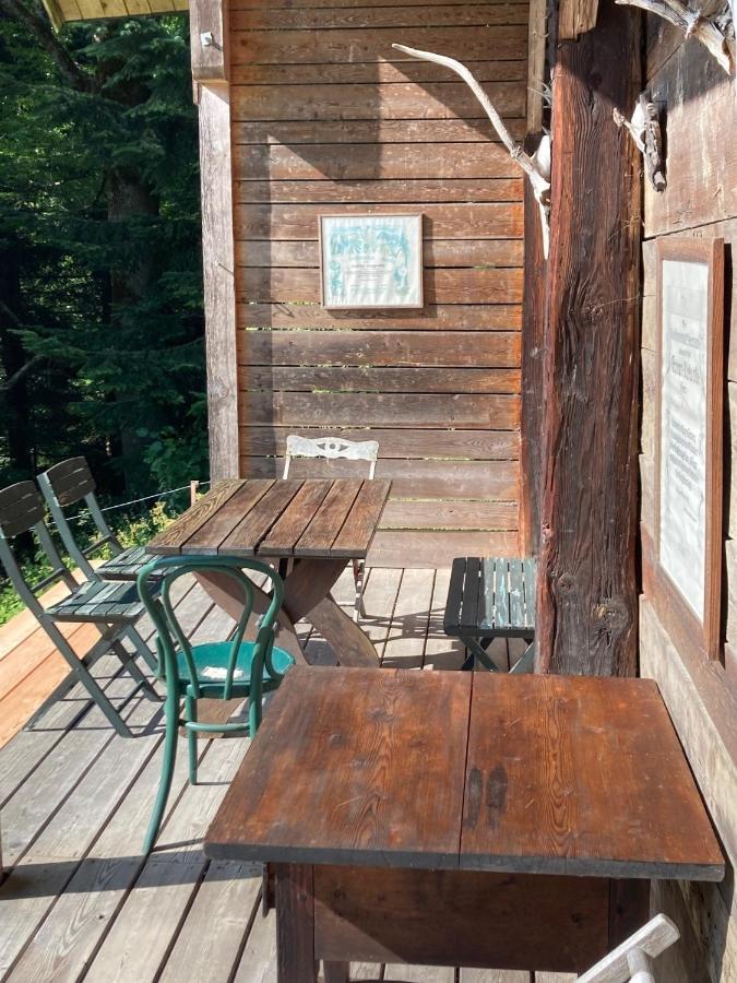 Charmante Gaestewohnung In Altem Bauernhaus In Alpiner Alleinlage Stanz Im Murztal Εξωτερικό φωτογραφία