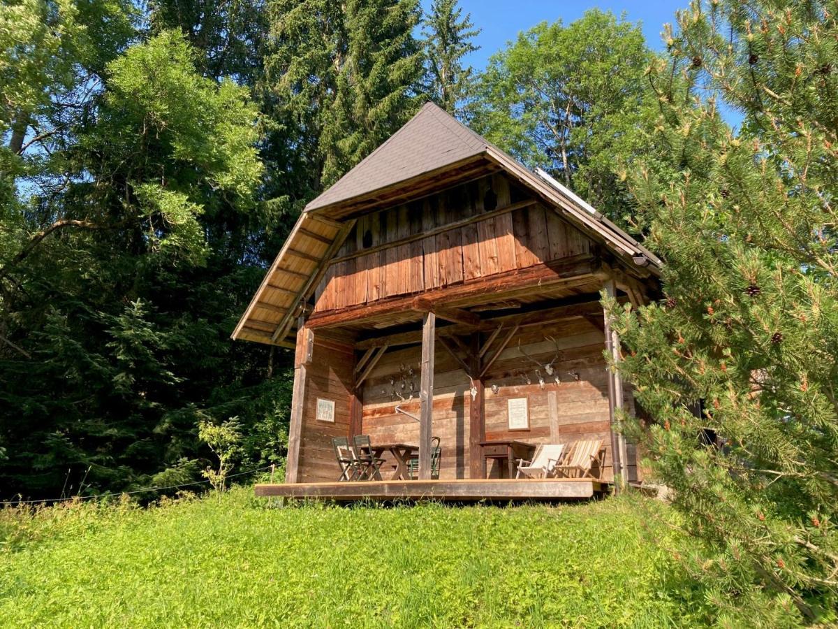 Charmante Gaestewohnung In Altem Bauernhaus In Alpiner Alleinlage Stanz Im Murztal Εξωτερικό φωτογραφία