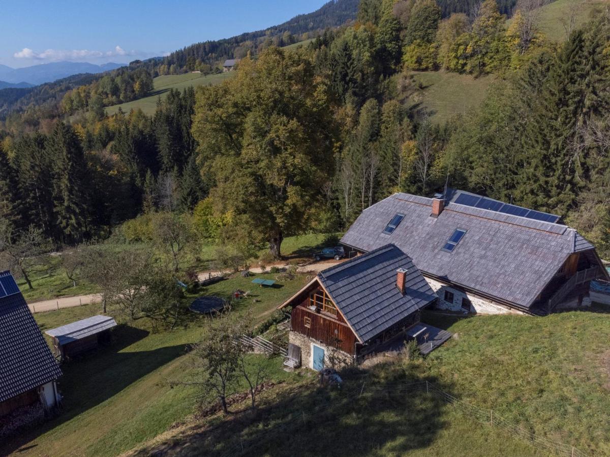 Charmante Gaestewohnung In Altem Bauernhaus In Alpiner Alleinlage Stanz Im Murztal Εξωτερικό φωτογραφία