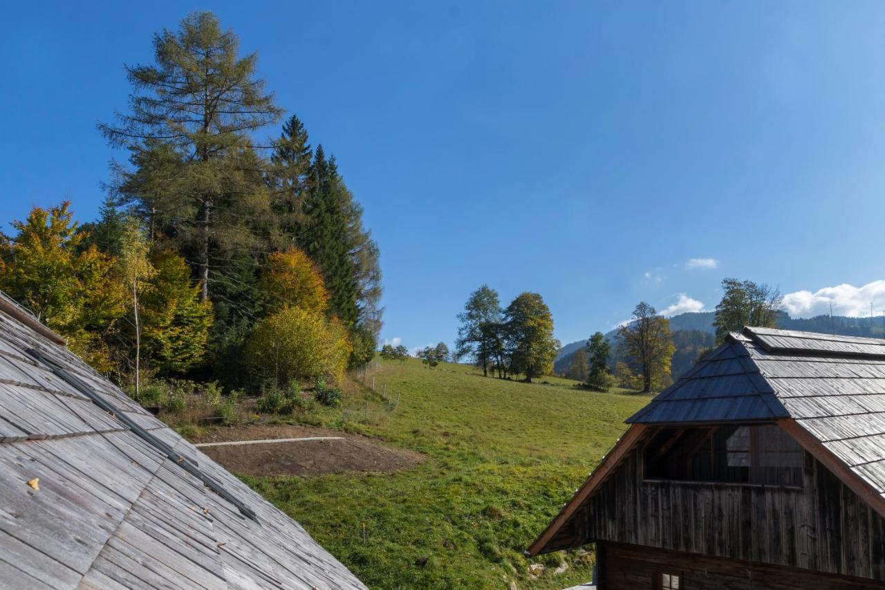 Charmante Gaestewohnung In Altem Bauernhaus In Alpiner Alleinlage Stanz Im Murztal Εξωτερικό φωτογραφία